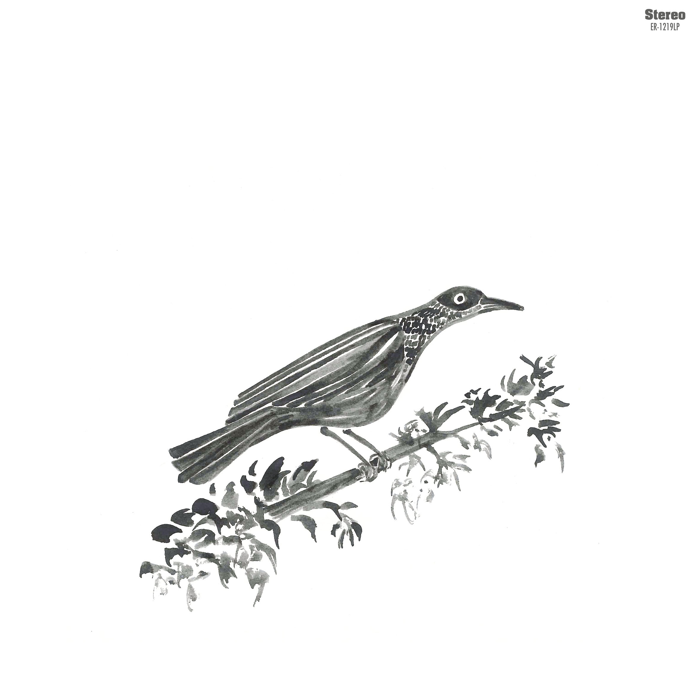 Imagen destacada de noticia: OS PEREGRINOS: El nuevo proyecto de Charlie Mysterio y Roger De Flor. Publican "Canto Peregrino" un Mini-LP dentro de nuestra colección "New Adventures In Pop"